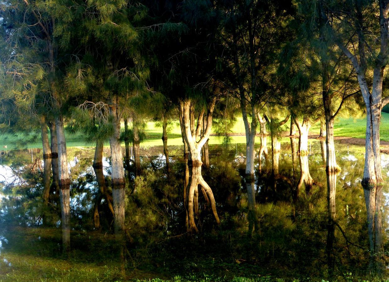 Lure Bed And Breakfast Normanville Exterior foto